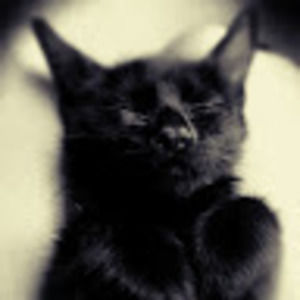 Meet your Posher, Queahnna